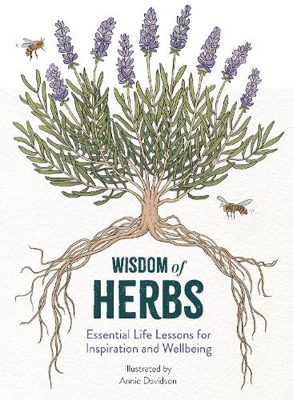 Wisdom of Herbs, Alison Davies - Gebonden - 9781915751508
