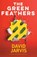 The Green Feathers, David Jarvis - Paperback - 9781915817891
