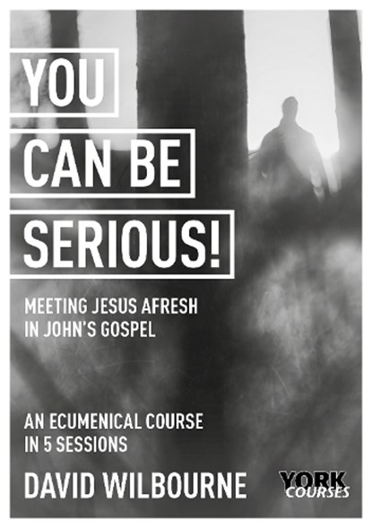 You Can Be Serious! Meeting Jesus afresh in John's Gospel, The Rt Revd David Wilbourne - Paperback - 9781915843005