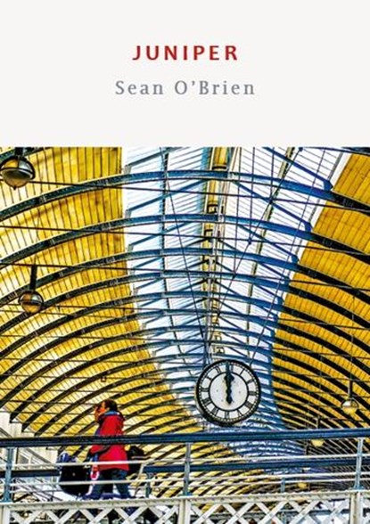 Juniper, Sean O'Brien - Paperback - 9781915968074