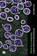 Virus is a Language, Chris Hables Gray - Gebonden - 9781915983374