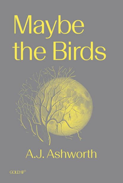 Maybe the Birds, A. J. Ashworth - Paperback - 9781915983381