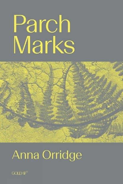 Parch Marks, Anna Orridge - Paperback - 9781915983572