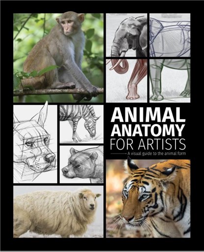 Animal Anatomy for Artists, 3dtotal Publishing - Gebonden - 9781915992000