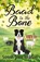 Baa'd to the Bone, WELDON,  Sarah Jane - Paperback - 9781916013186