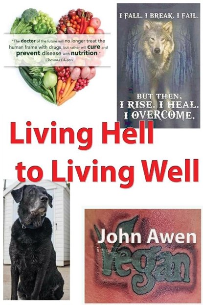 Living Hell to Living Well, John Awen - Paperback - 9781916014091