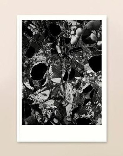 The White Review No.28, WADE,  Francesca - Paperback - 9781916035119