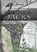 Patagonia Jacks, Geoff Brookes - Paperback - 9781916161979