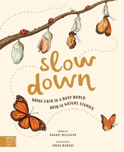 Slow Down, Rachel Williams - Gebonden - 9781916180512