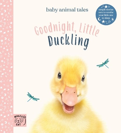 Goodnight, Little Duckling, Amanda Wood - Gebonden - 9781916180543