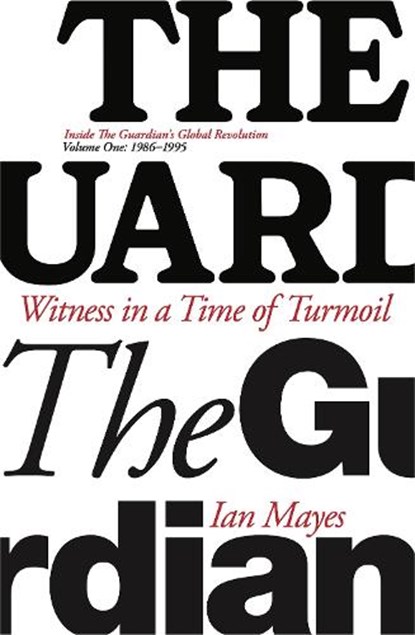 Witness in a Time of Turmoil, Ian Mayes - Gebonden - 9781916204768