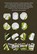 The Goddess Lens, Pascal O'Loughlin - Paperback - 9781916218642
