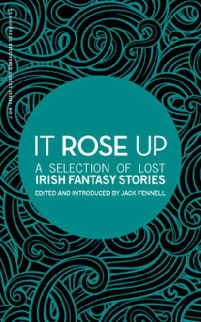 It Rose Up, Jack Fennell - Paperback - 9781916291409