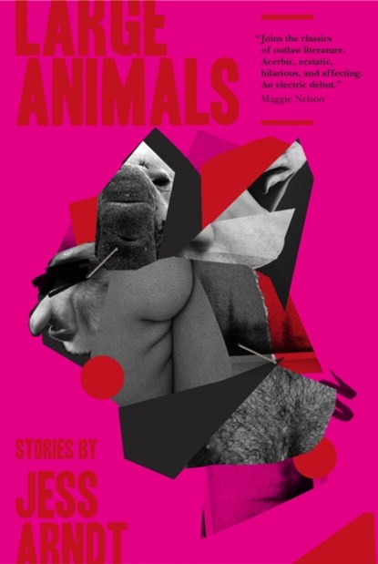 Large Animals, Jess Arndt - Paperback - 9781916355309