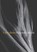 Harmonia Mundi, Tim Lilburn - Paperback - 9781916393561