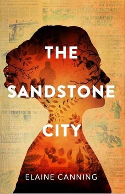The Sandstone City, Elaine Canning - Paperback - 9781916398627