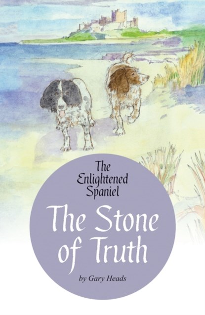 The Stone of Truth, Gary Heads - Paperback - 9781916446861