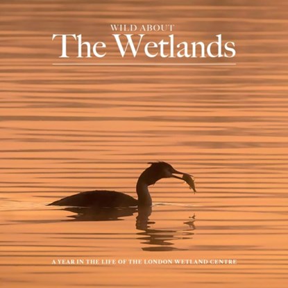 Wild about The Wetlands, Andrew Wilson - Gebonden - 9781916485839