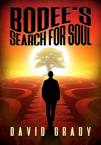 Bodee's Search for Soul, David Grady - Paperback - 9781916732629