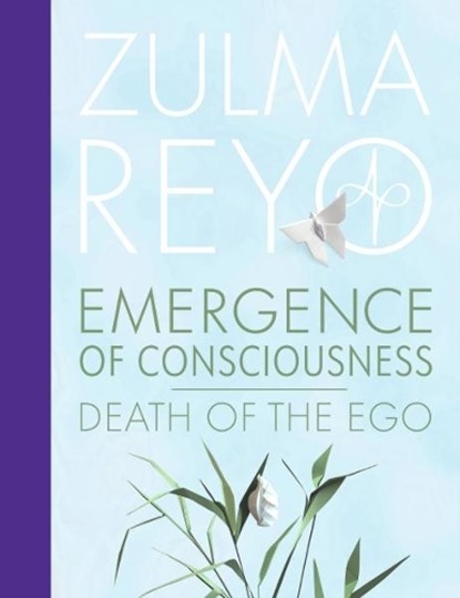 Emergence Of Consciousness, Zulma Reyo - Gebonden - 9781916746107