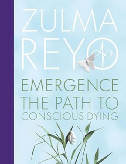 Emergence of Consciousness, Zulma Reyo - Ebook - 9781916746114