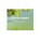 Everyday Wonder, The School of Life - Losbladig - 9781916753488