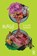 Mingle, Caleb Parkin - Paperback - 9781916760066