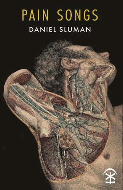 Pain Songs, Daniel Sluman - Paperback - 9781916760387