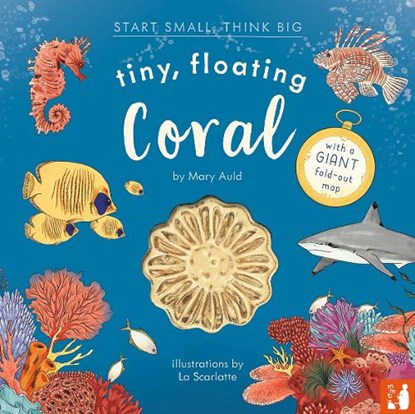 Tiny, Floating Coral, Mary Auld - Gebonden - 9781916780033
