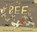 BEE, Rachel Fuller - Gebonden - 9781916797291