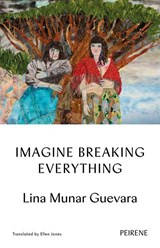 Imagine Breaking Everything - Tbd - 9781916806122