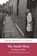 The Small Mine, Menna Gallie - Paperback - 9781916821163