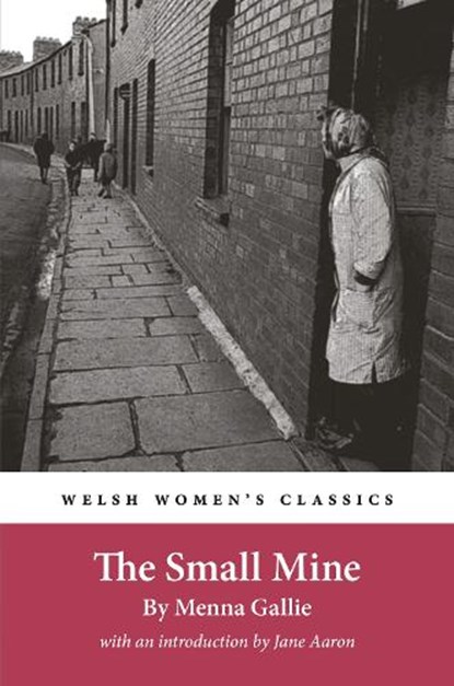 The Small Mine, Menna Gallie - Paperback - 9781916821163