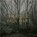 FRAGILE, Paul Hart - Gebonden - 9781916915077