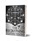 Zodiac Academy 3: The Reckoning, Caroline Peckham ; Peckham ; Valenti - Paperback - 9781916926301