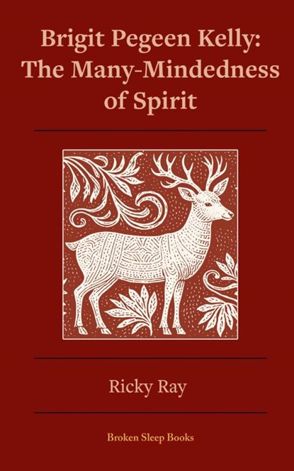 The Many-Mindedness of Spirit, Ricky Ray - Paperback - 9781916938816