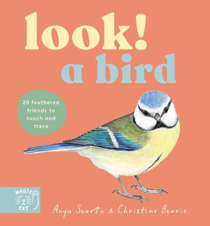 Look! A Bird!, Anya Serota - Gebonden - 9781917044622