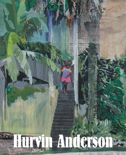 Hurvin Anderson, Dominique Heyse-Moore - Paperback - 9781917055055