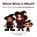 Which Witch is Which?, Fran Mulvey - Paperback - 9781917056465