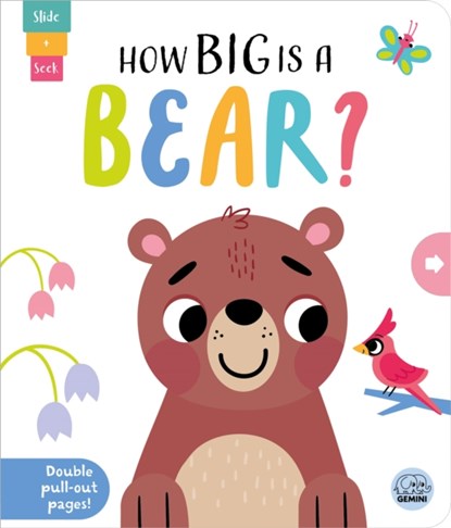 How Big is a Bear?, Lisa Regan - Gebonden - 9781917082587