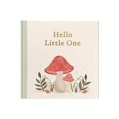 Hello Little One, Tegan Davis - Gebonden - 9781917083256