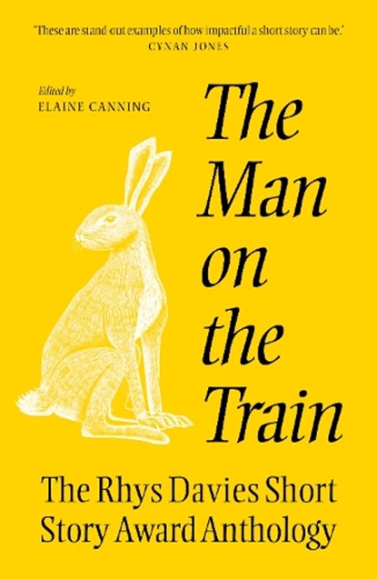 The The Man on the Train, Elaine Canning - Paperback - 9781917140898