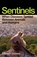 Sentinels, Michael Dulaney - Paperback - 9781917189330