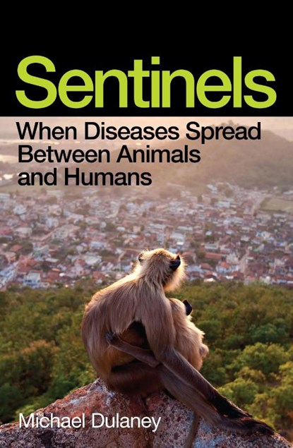 Sentinels, Michael Dulaney - Paperback - 9781917189330