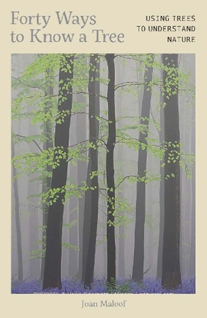 Forty Ways to Know a Tree, Joan Maloof - Gebonden - 9781917226172