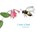 I See A Bee, Mark Potter - Paperback - 9781917238809