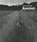 Ramsholt, Johnnie Shand Kydd - Gebonden - 9781917283151