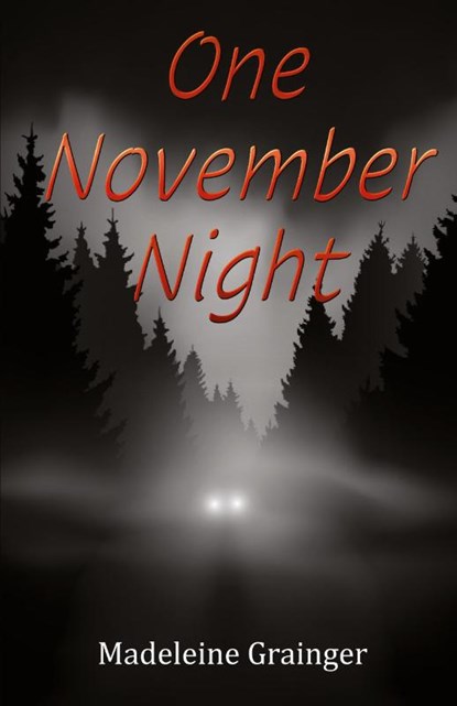One November Night, Madeleine Grainger - Paperback - 9781917293556
