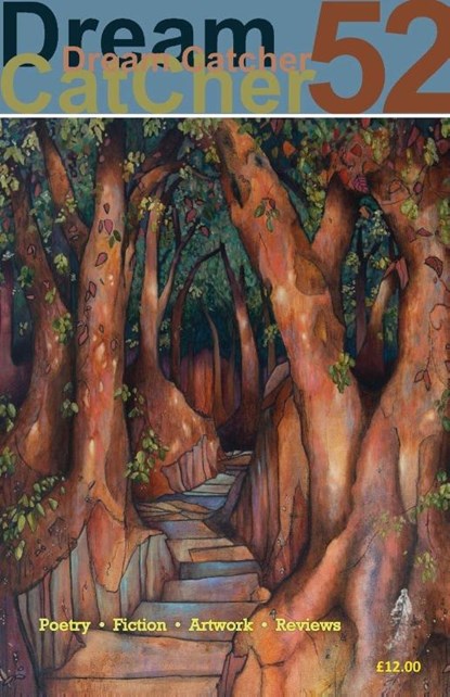 Dream Catcher 52, Hannah Stone - Paperback - 9781917334310