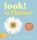 LOOK! A Flower, Anya Serota - Gebonden - 9781917366632